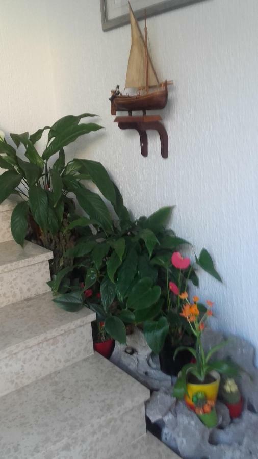 Apartment Bojana Novi Vinodolski Buitenkant foto