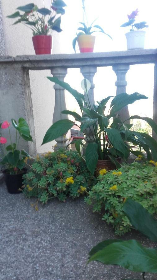 Apartment Bojana Novi Vinodolski Buitenkant foto